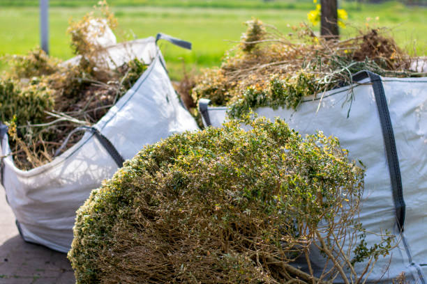 Best Dumpster Rental Services  in Marmora, NJ